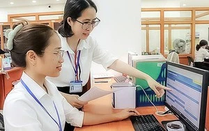 Tiếp tục áp dụng một số văn bản hướng dẫn thi hành một số luật