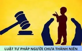 Nhiệm vụ, quyền hạn của Hội đồng quốc gia về tư pháp người chưa thành niên
